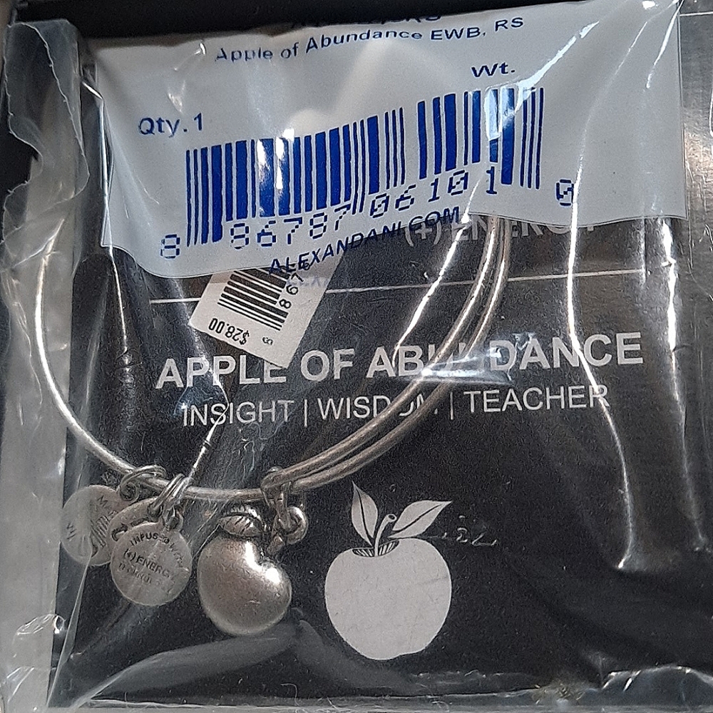 Alex and Ani bracelet NIB